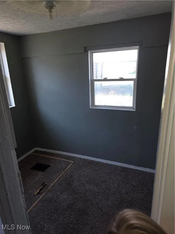 Carpeted empty room featuring a textured ceiling and entry into basement