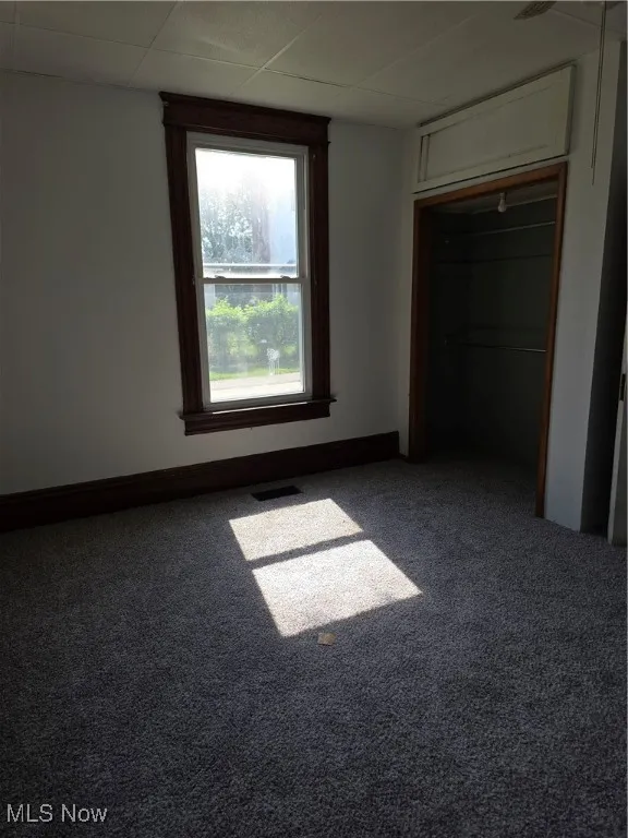 bedroom featuring carpet