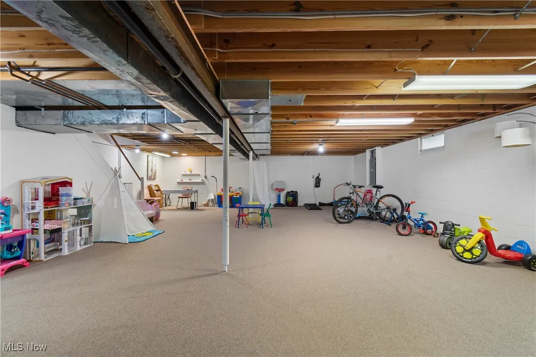 Basement with carpet flooring