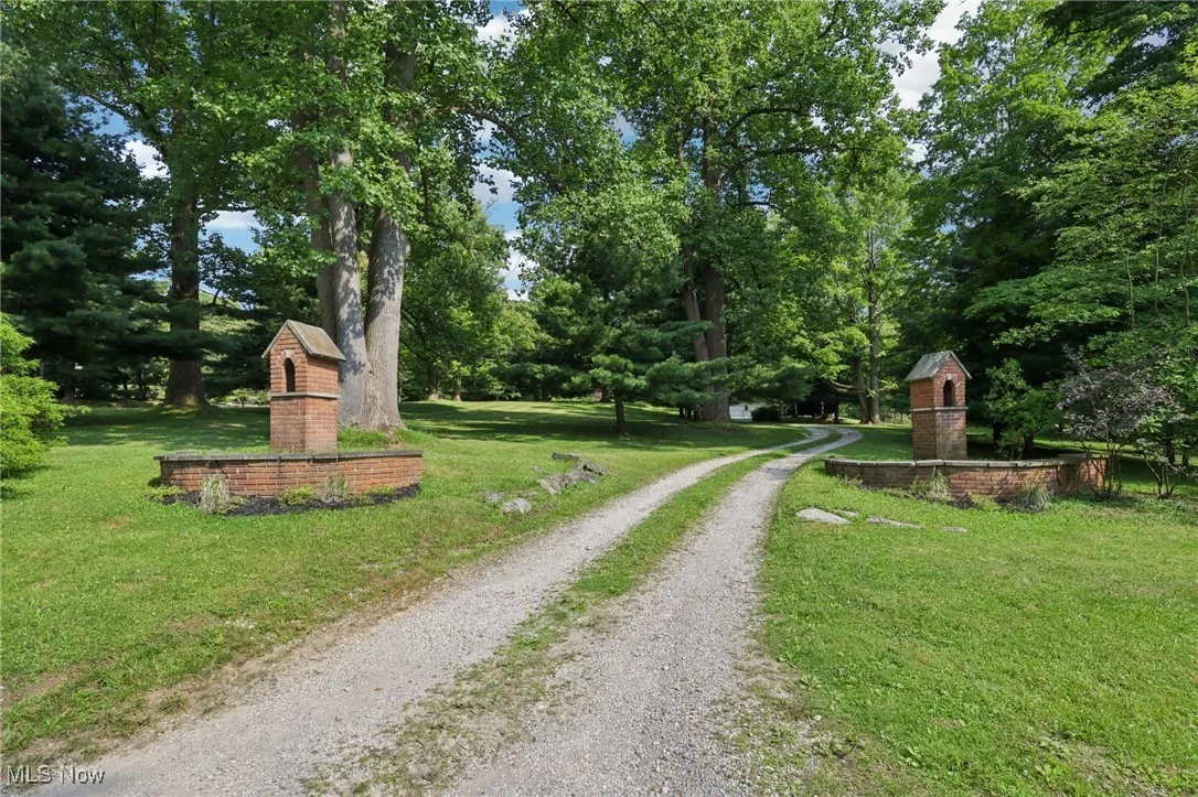View of dirt / gravel driveway with view of scattered trees