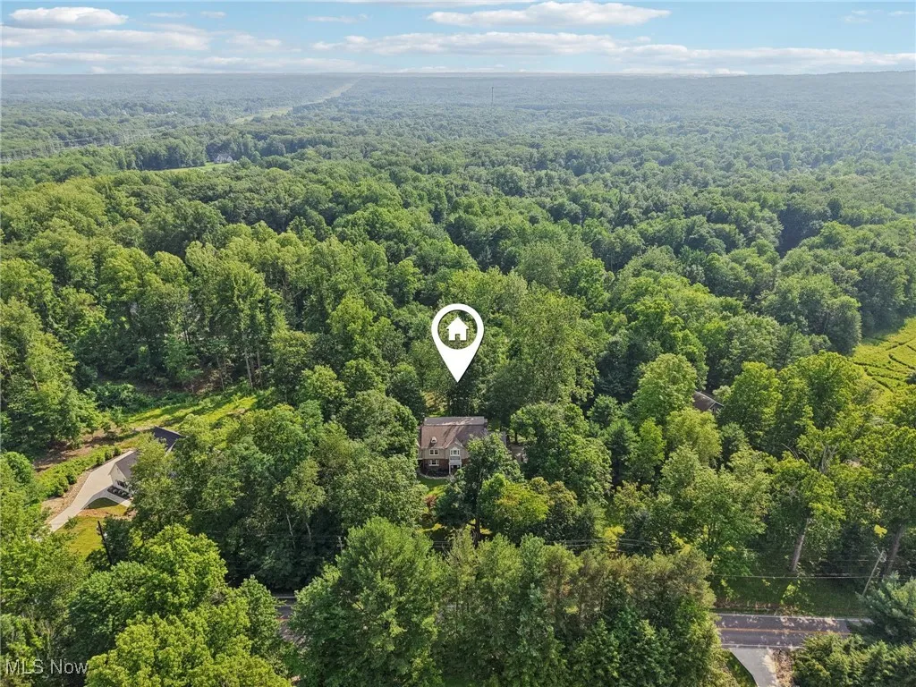 Drone / aerial view of a forest