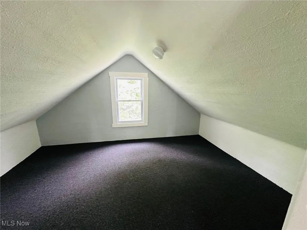 Bonus room featuring vaulted ceiling, a textured ceiling, and carpet floors
