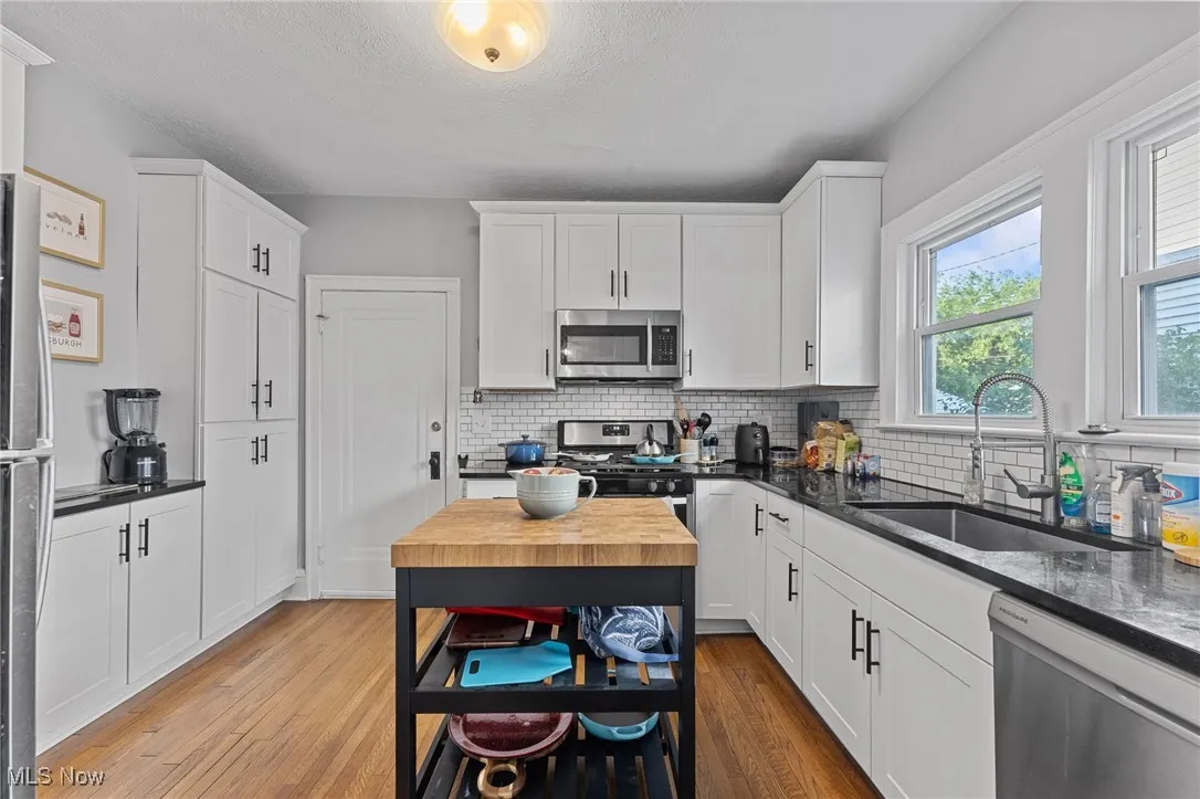 14317-14319 Bayes Avenue, Lakewood, Ohio,MLS Now Listing ID