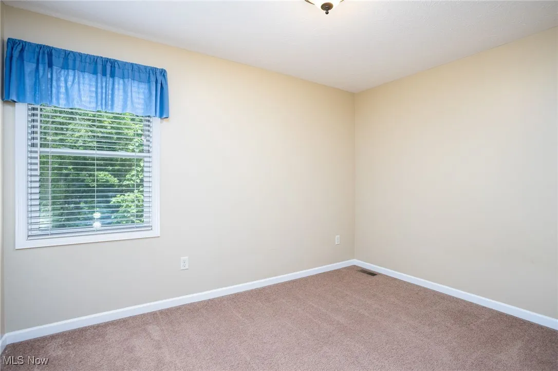 Carpeted spare room featuring plenty of natural light