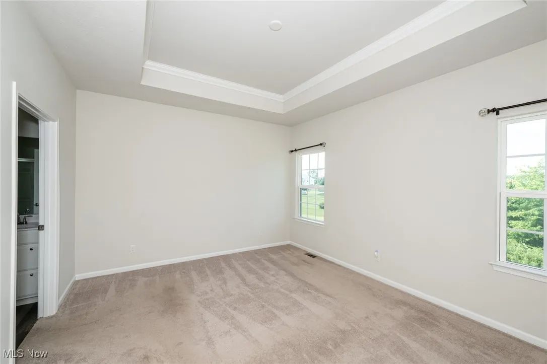 Carpeted empty room featuring crown molding, plenty of natural light, and a raised ceiling