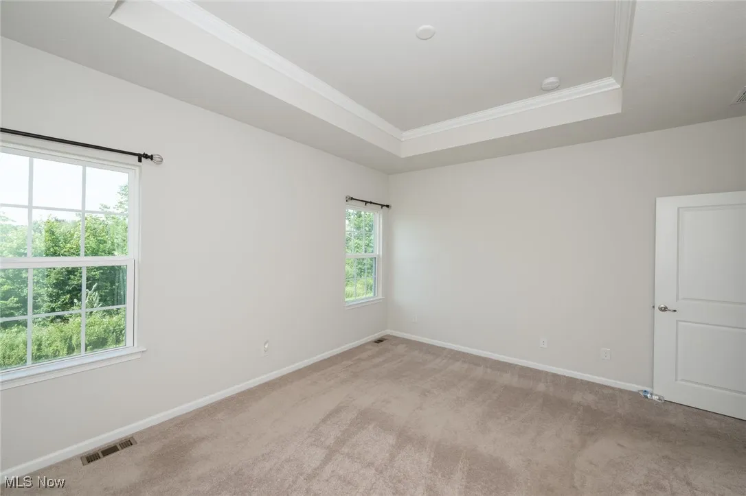 Unfurnished room with crown molding, light carpet, plenty of natural light, and a tray ceiling