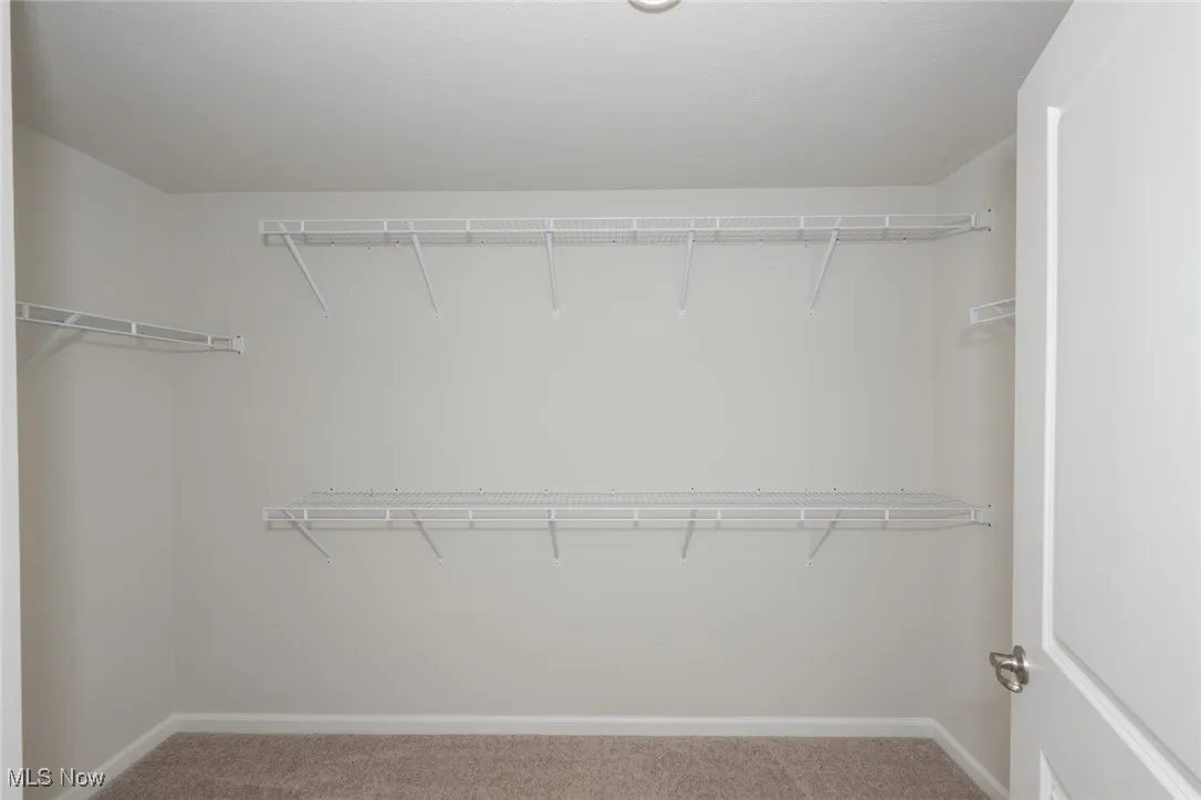 Walk in closet featuring carpet