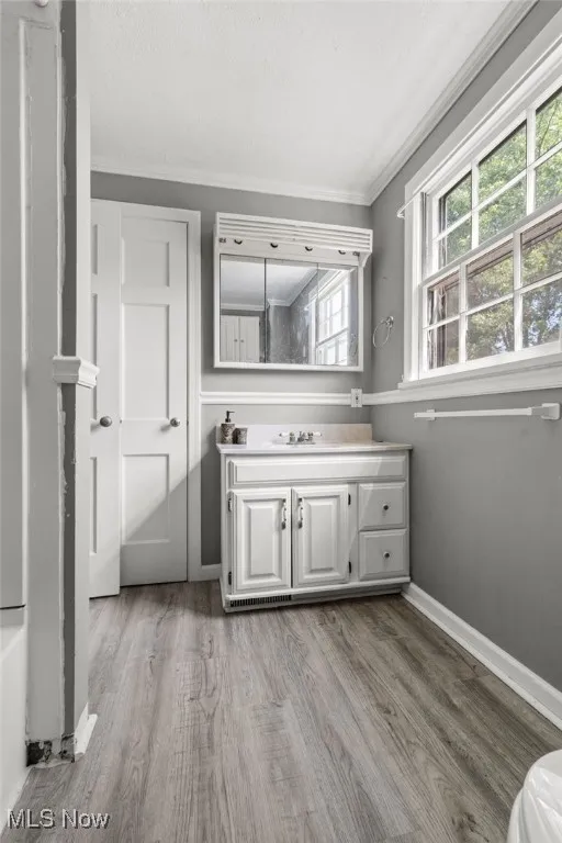 Bathroom featuring vanity, ornamental molding, and wood finished floors