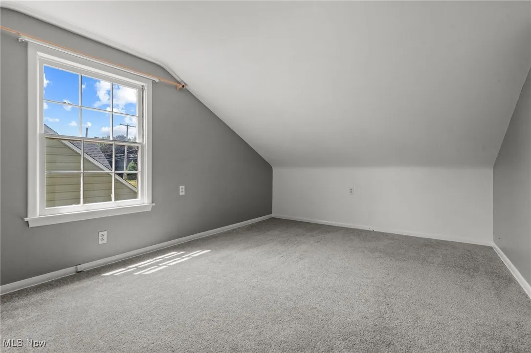 Additional living space featuring vaulted ceiling and carpet