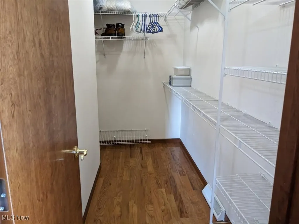 Walk in closet with wood finished floors