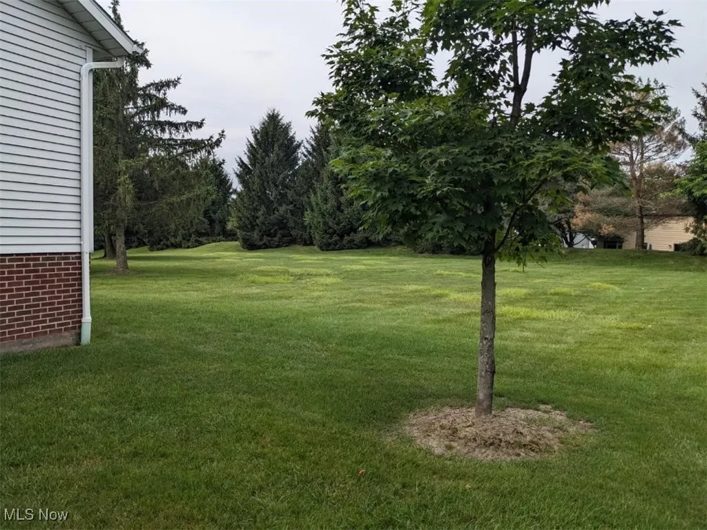 View of green lawn