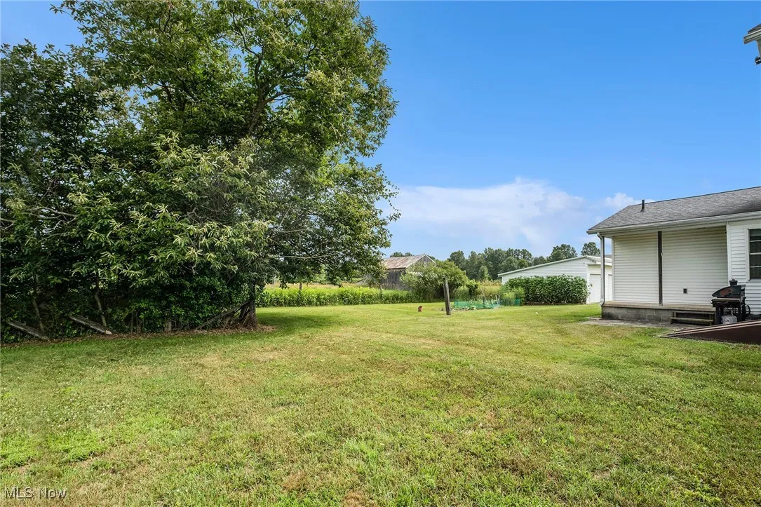 View of grassy yard