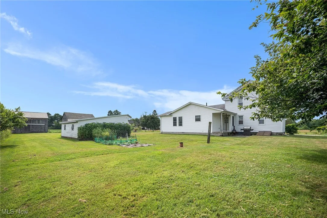 View of grassy yard