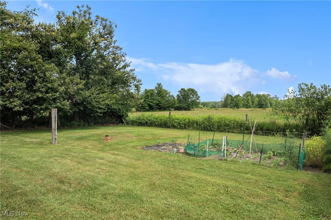 View of green lawn featuring a vegetable garden