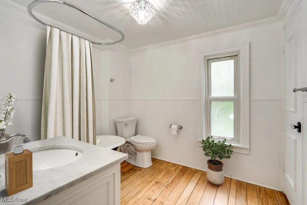 Bathroom featuring hardwood / wood-style floors, a wainscoted wall, vanity, ornamental molding, and a shower with shower curtain