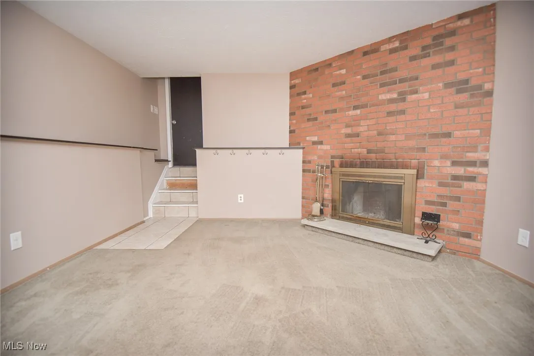 Wood-burning Fireplace