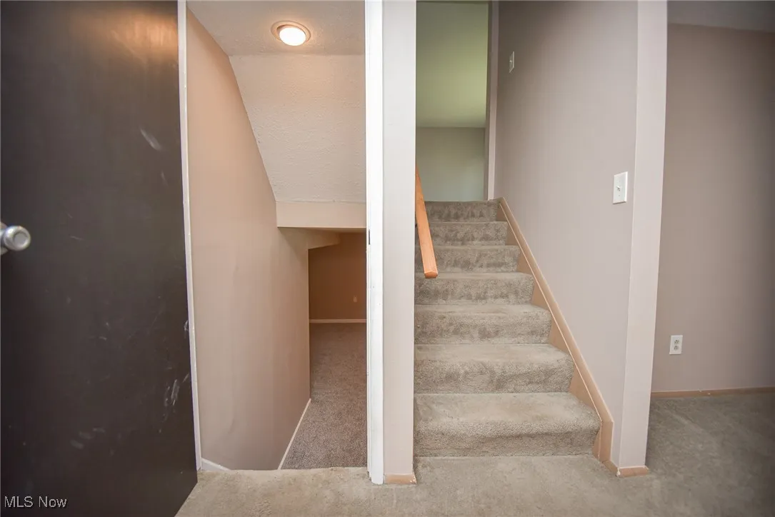 Stairs to finished basement level with rec room and laundry/utility room.