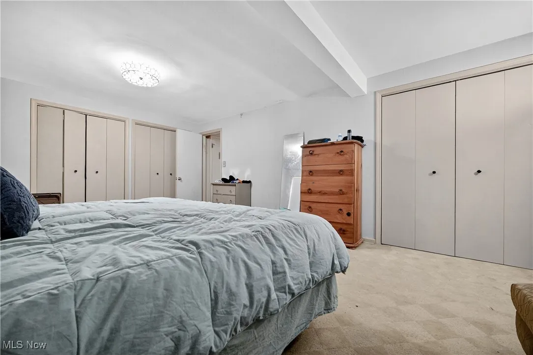 Bedroom featuring multiple closets and light colored​​‌​​​​‌​​‌‌​‌‌​​​‌‌​‌​‌​‌​​​‌​​ carpet