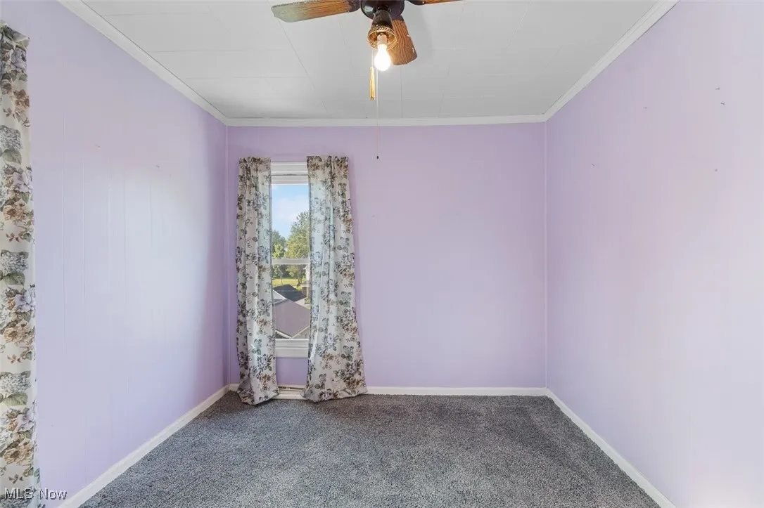 Spare room with ceiling fan, carpet flooring, and ornamental molding