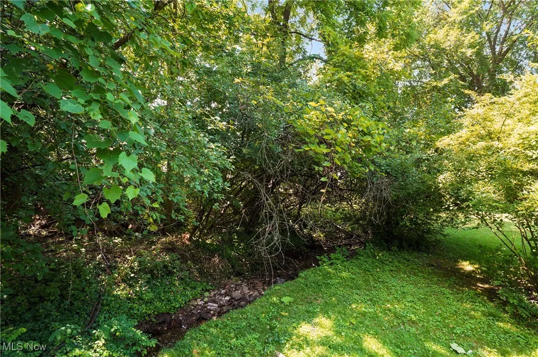 View of grassy yard with a forest view