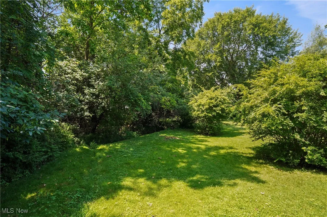 View of green lawn