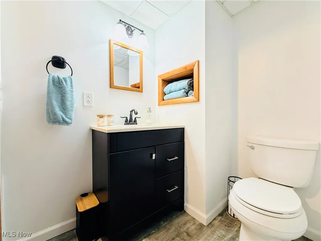 Bathroom featuring wood finished floors and vanity