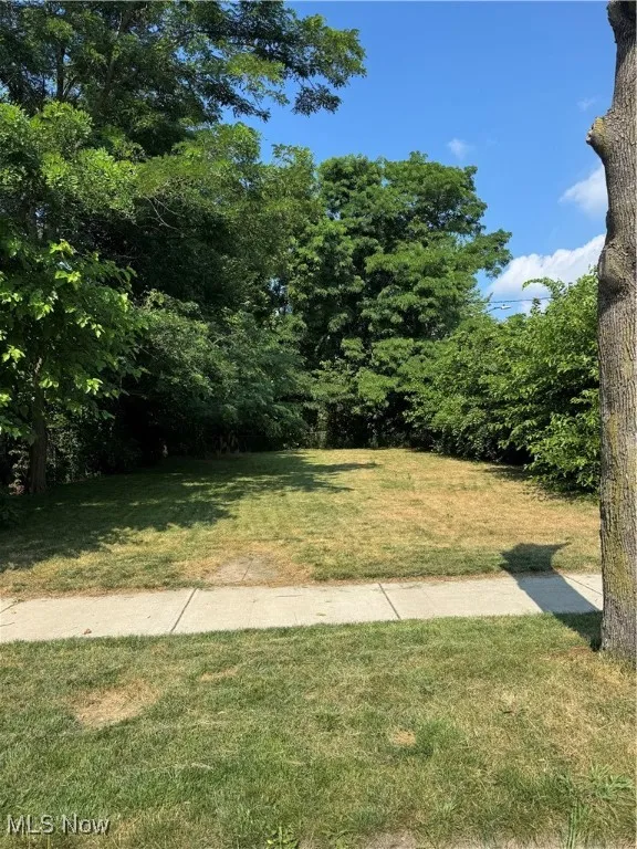 View of green lawn