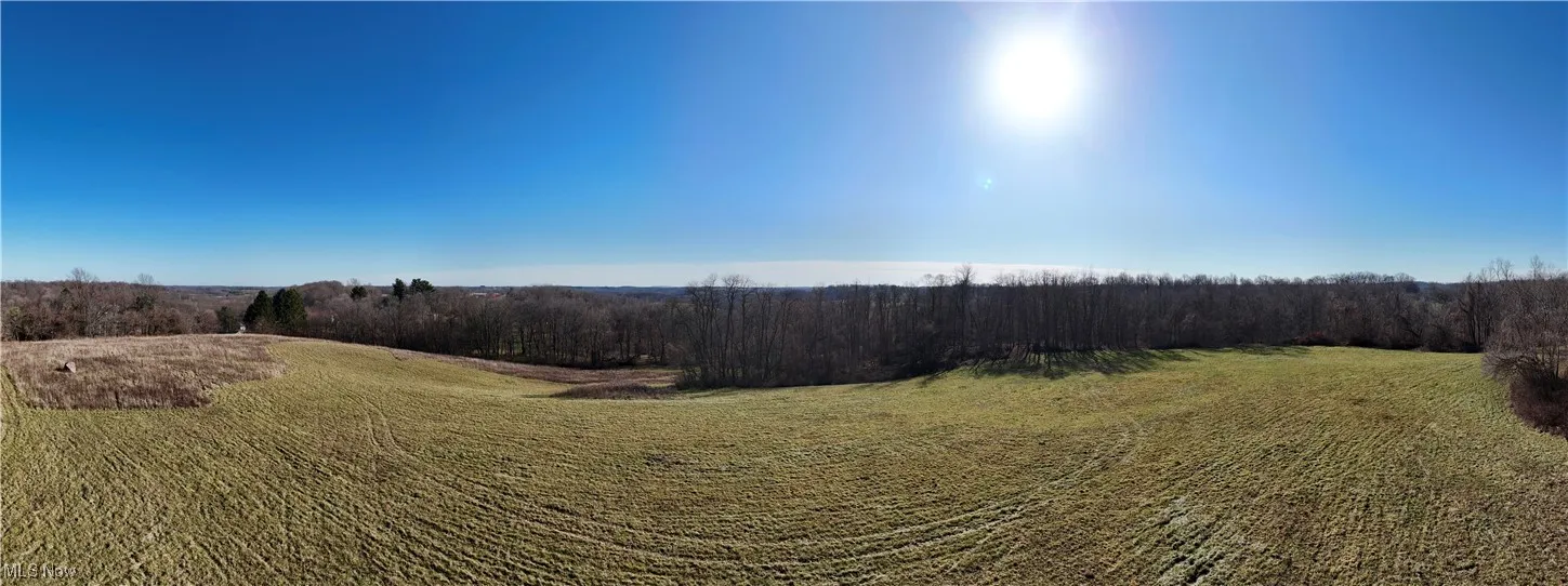 View of local wilderness with a rural view
