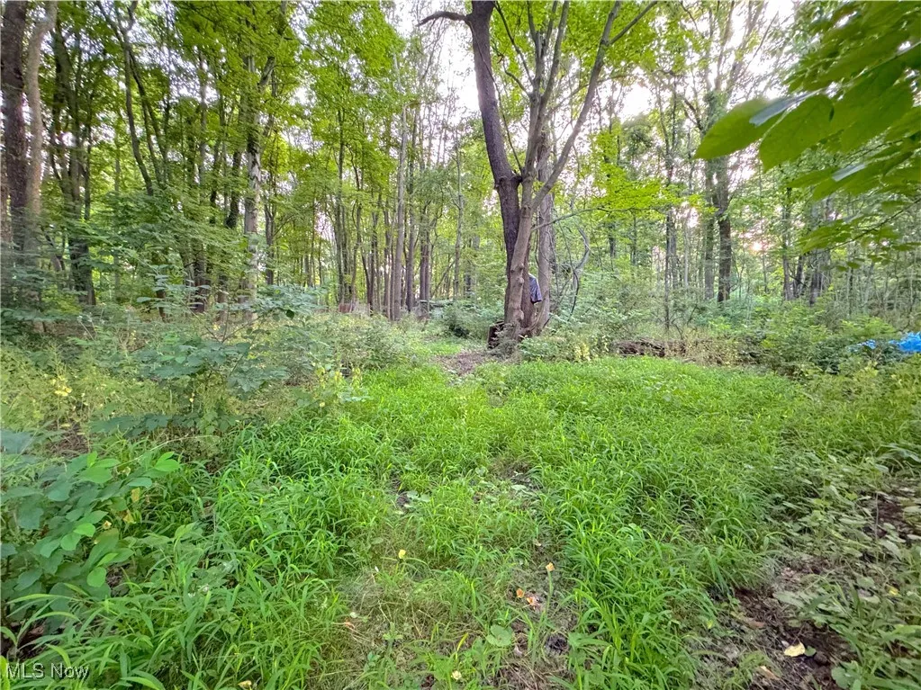 399 N Thomas Road, Tallmadge, Ohio,MLS Now Listing ID