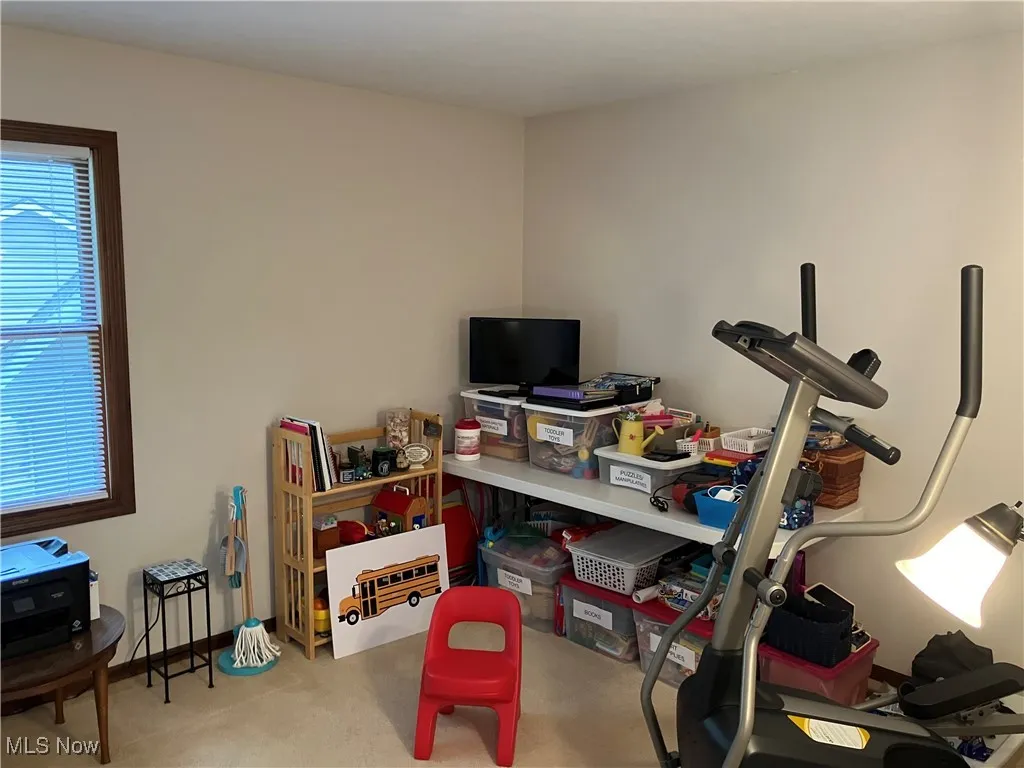 Workout area with carpet floors