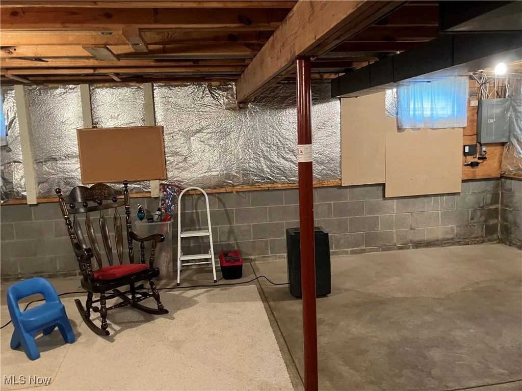 Unfinished below grade area with electric panel