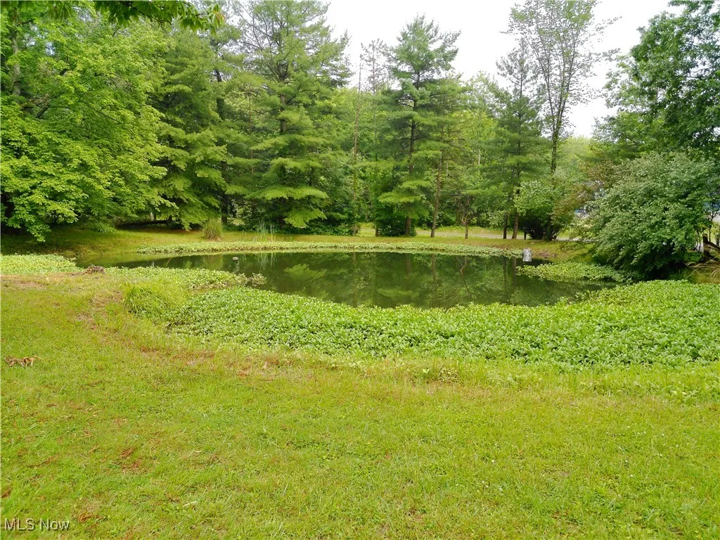View of yard featuring a water view