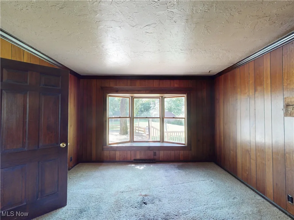 Unfurnished room featuring carpet, a textured ceiling, wooden walls, and ornamental molding