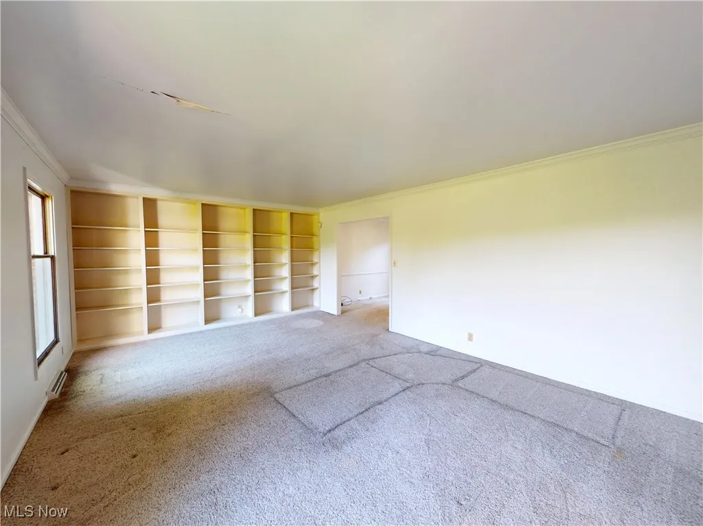 Carpeted spare room with ornamental molding and built in features
