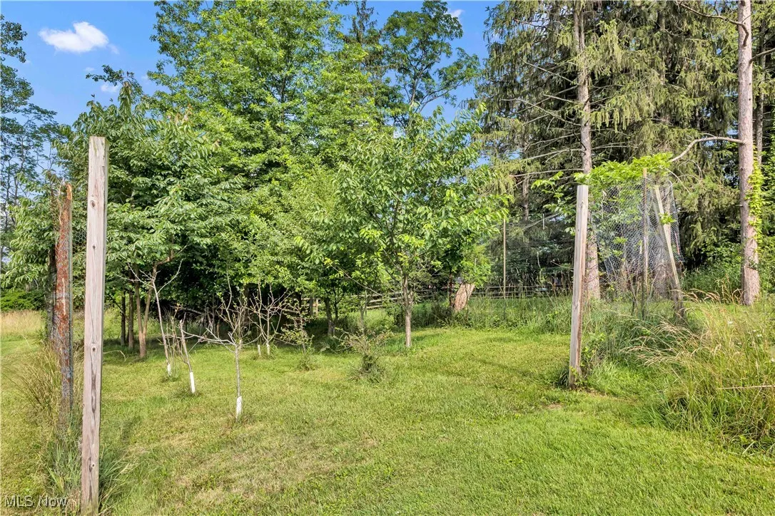 View of grassy yard