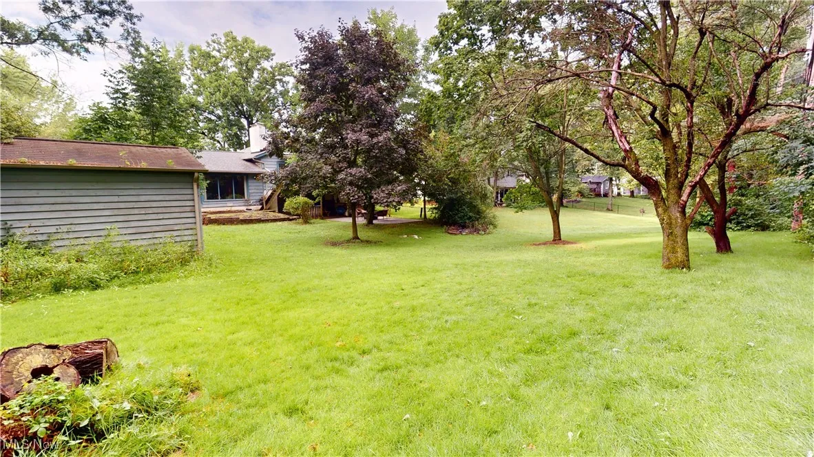 View of green lawn