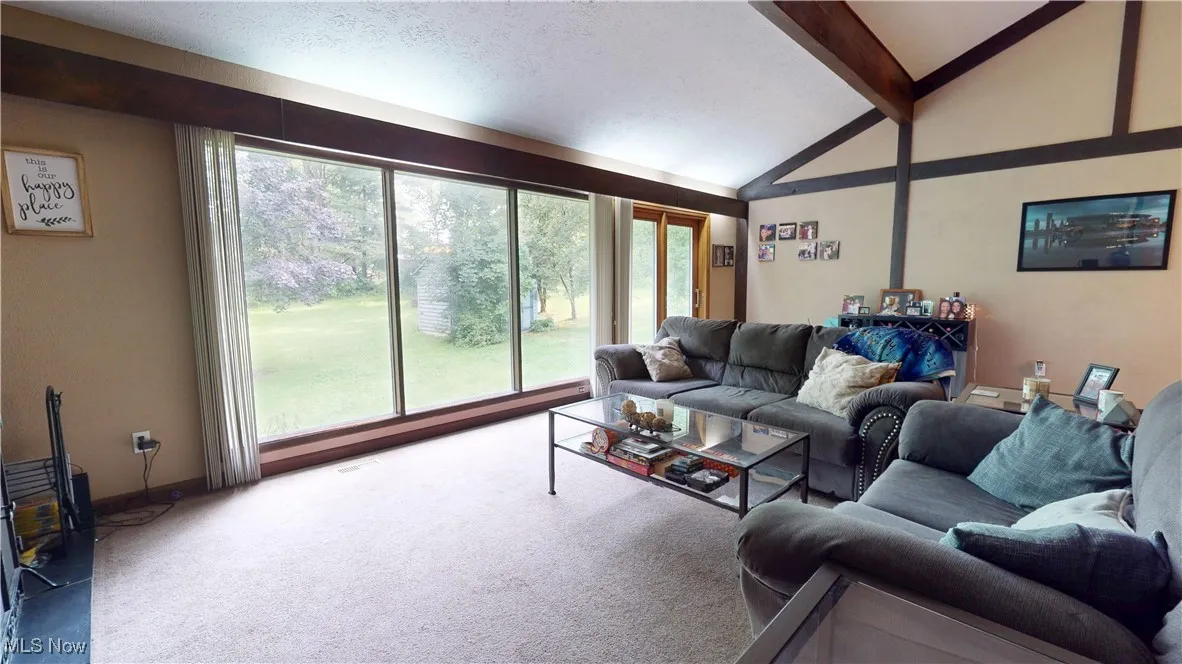 Living room featuring carpet floors and a wood stove