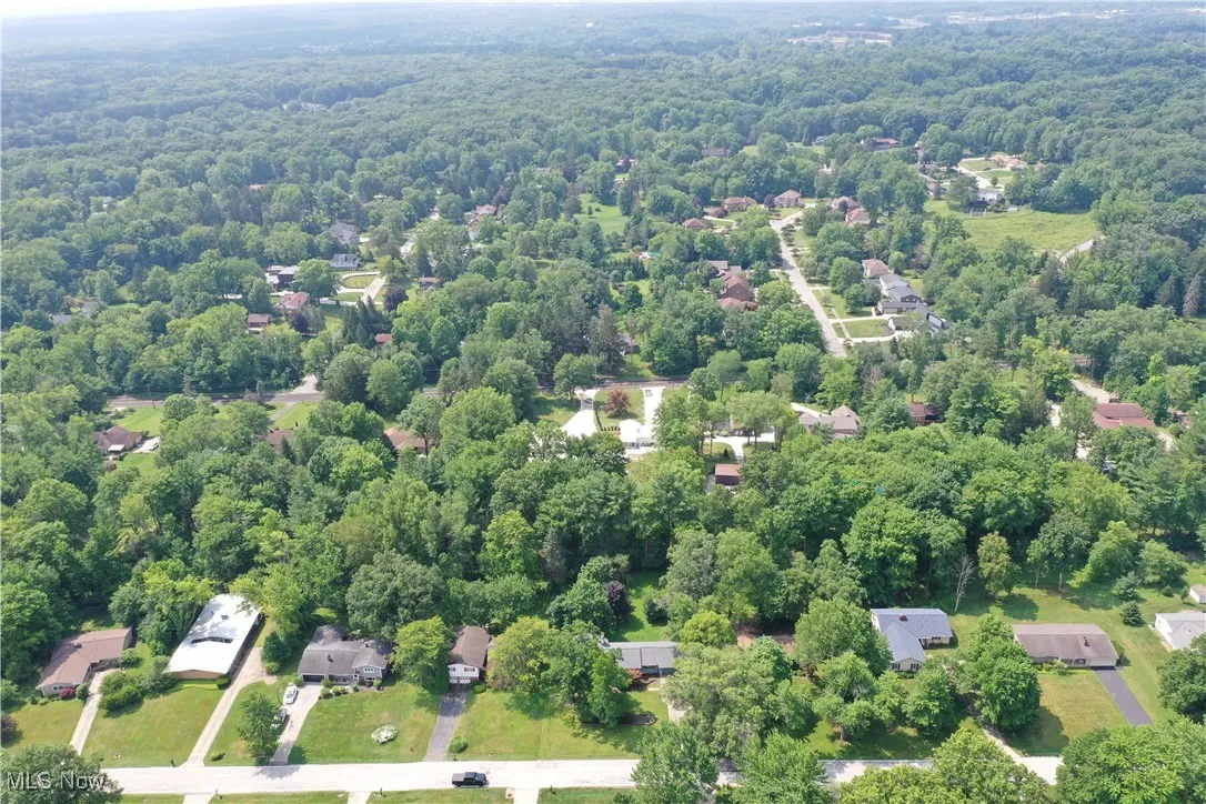 Drone / aerial view of a forest