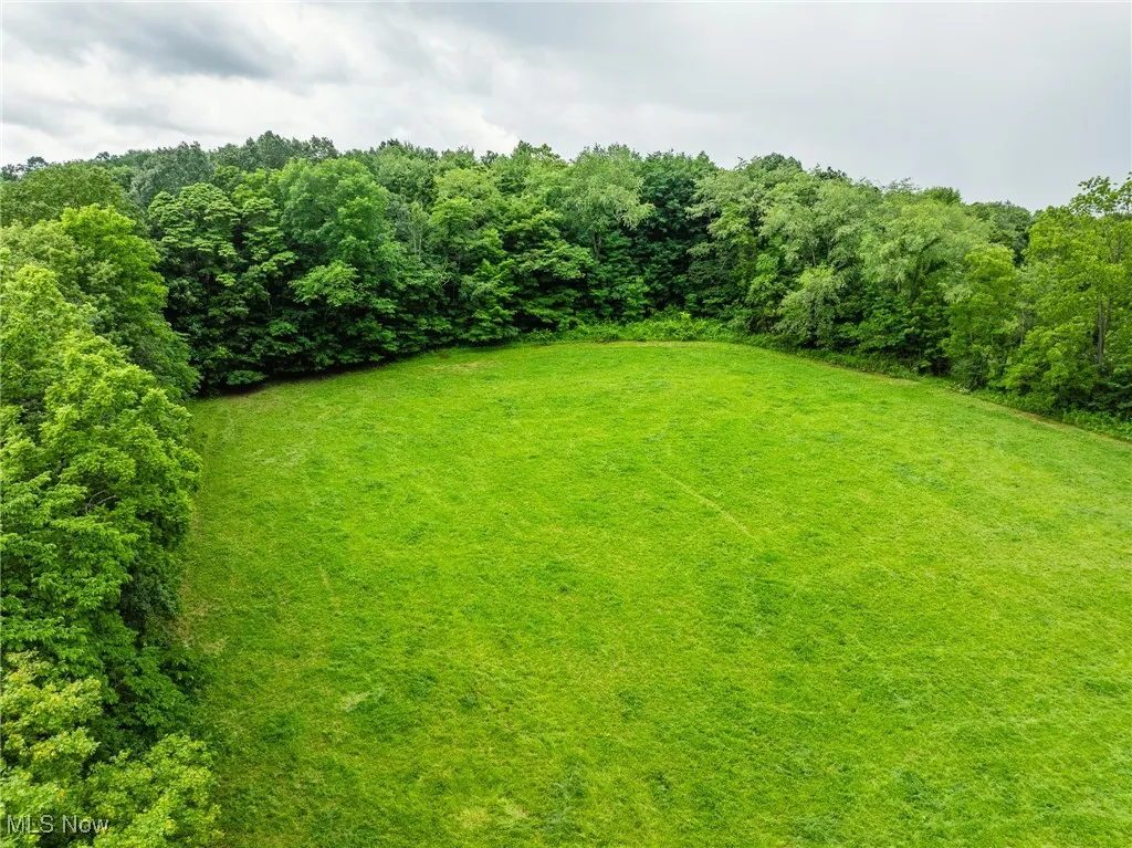 View of grassy yard
