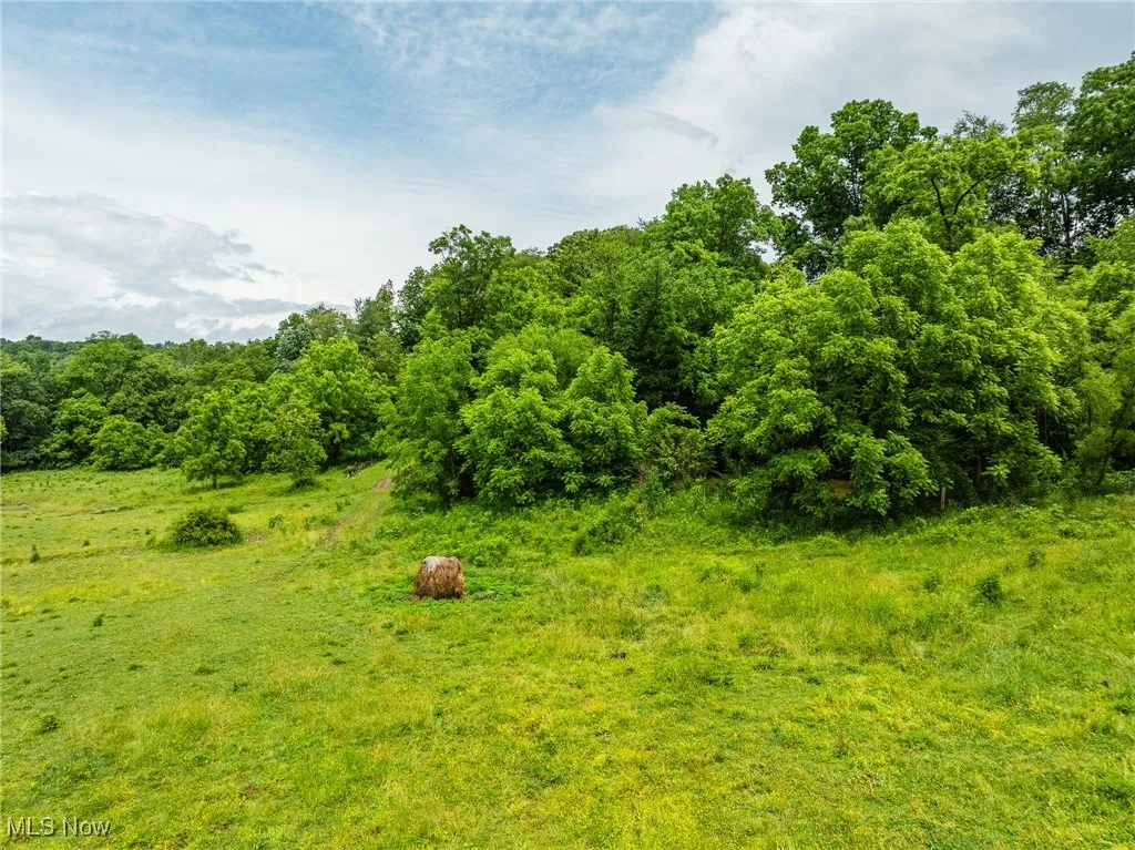View of undeveloped land