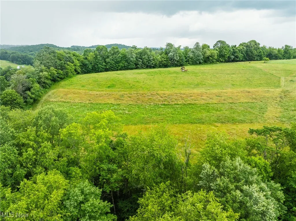View of local wilderness with rural landscape