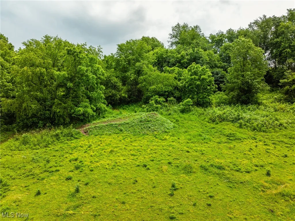 View of local wilderness