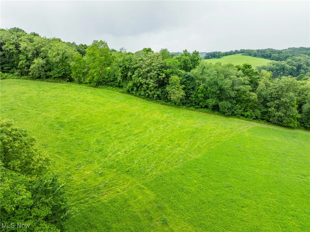 View of grassy yard