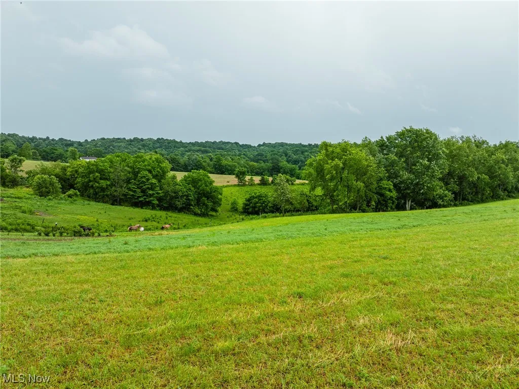 View of grassy yard with a view of countryside