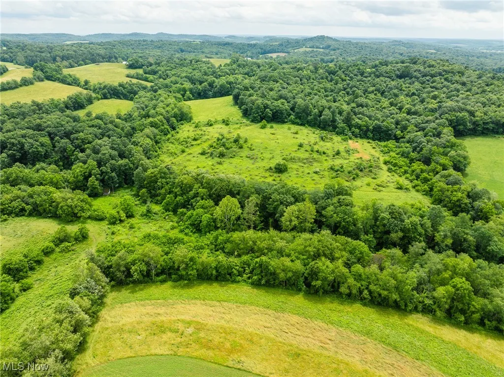 Drone / aerial view of a heavily wooded area