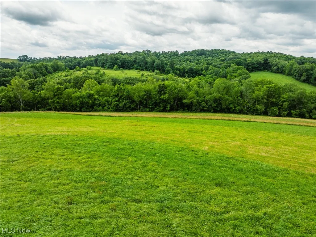 View of green lawn with a rural view