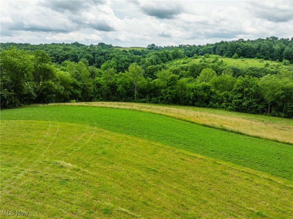 View of grassy yard