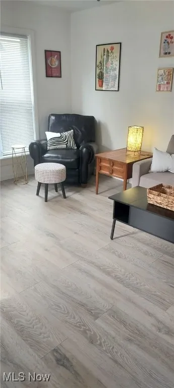 Living room featuring wood finished floors