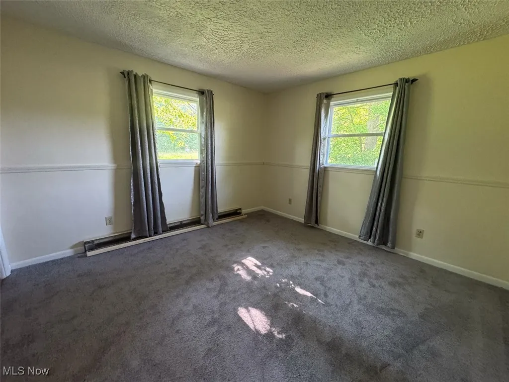Bedroom with plenty of natural light, a textured ceiling, carpet, and a baseboard heating unit