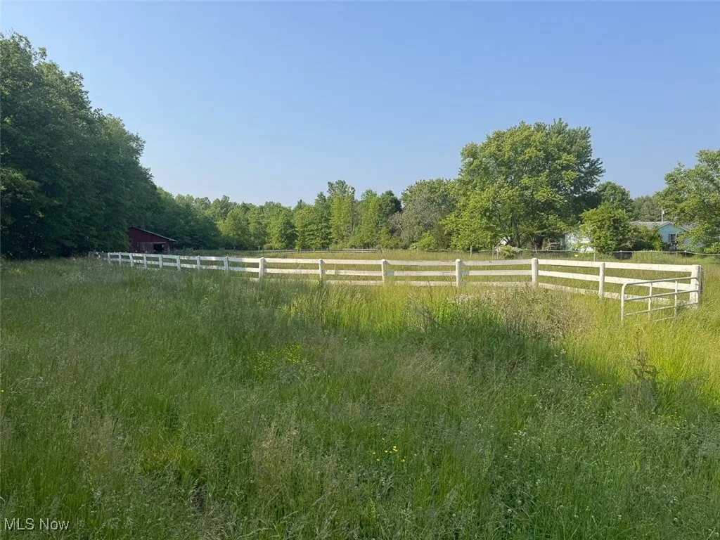 View of yard featuring a rural view and a forest view